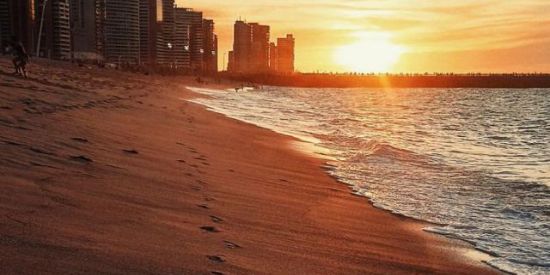 Imagem do grupo de WhatsApp FORTAL🌴