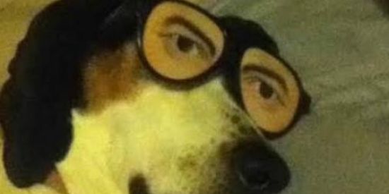 Imagem do grupo de WhatsApp Shitpost