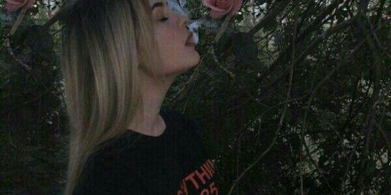 Imagem do grupo de WhatsApp 𝑨𝒍𝒂𝒔𝒄𝒂 𝒂𝒎𝒊𝒛𝒂𝒅𝒆𝒔 𝒆 𝒘𝒆𝒃 𝒏𝒂𝒎𝒐𝒓𝒐 🇺🇸❄️