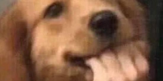 Imagem do grupo de WhatsApp 𝒄𝒐𝒏𝒗𝒆𝒓𝒔𝒂 👽