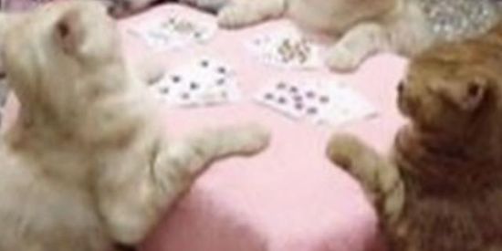 Imagem do grupo de WhatsApp Ospicio 😍🥰