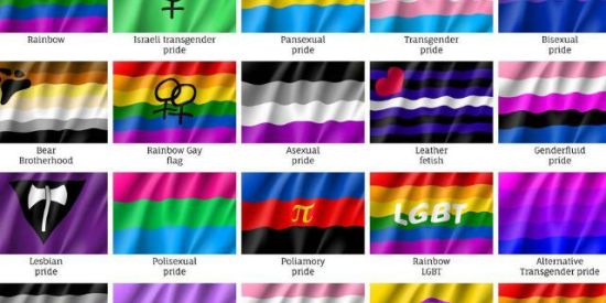 Imagem do grupo de WhatsApp Mundo_LGBT_🌈🥳