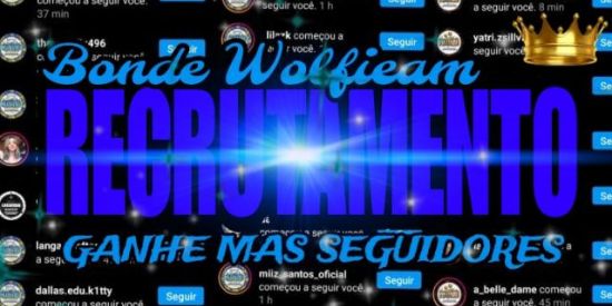 Imagem do grupo de WhatsApp Ganhe mas de 100 seguidores todos os dias