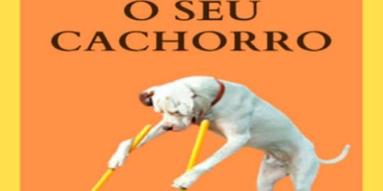 Imagem do grupo de WhatsApp "COMO ADESTRAR O SEU CACHORRO"🐕‍🦺