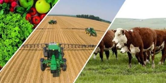 Imagem do grupo de WhatsApp 🙃🥰 *AMIGOS do AGRO II !!!* 👩🏼‍🌾🧑🏾‍🌾🚜🌾🐎🐂🐄🐖🐑🐓🐶🌱🎋🌳🪴🍞🥨☕🫘🥜🥦🥒🍓🍊🍇🍉🍷🧉