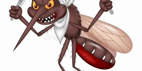 Imagem do grupo de WhatsApp Os mosquitos