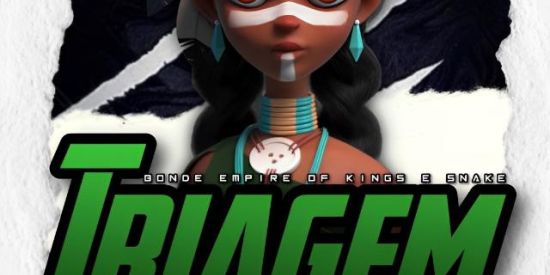 Imagem do grupo de WhatsApp 『👑•TRIAGEM SNK•👑』