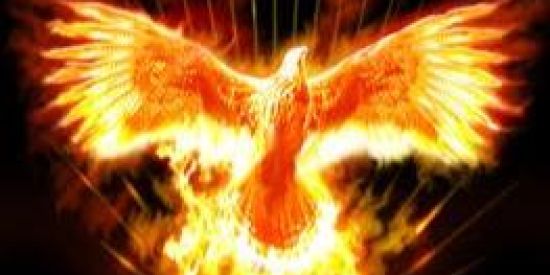 Imagem do grupo de WhatsApp Renascimento fênix