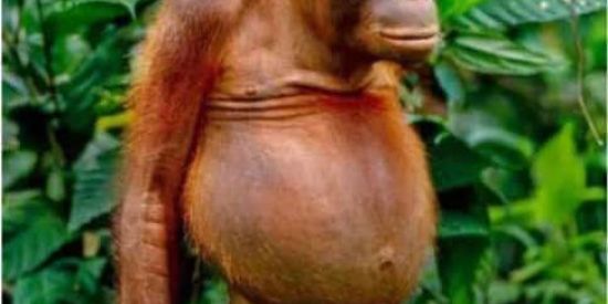 Imagem do grupo de WhatsApp OS SEM NOÇÃO 🥴😵‍💫