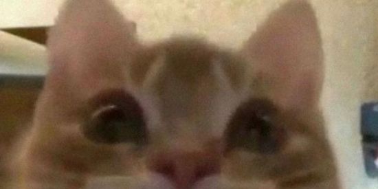 Imagem do grupo de WhatsApp Manga com sal