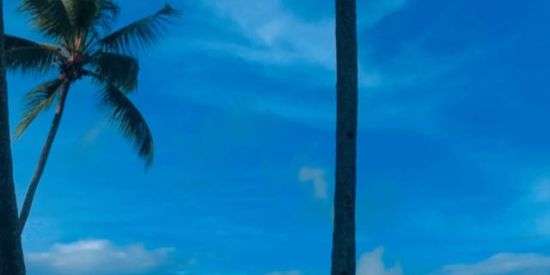 Imagem do grupo de WhatsApp Amizade NT