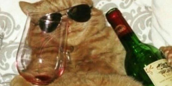 Imagem do grupo de WhatsApp <≈Los Muertos Vivientes💀🤙🏻≈>