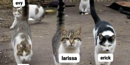 Imagem do grupo de WhatsApp Coca-Goth Vibes🐒