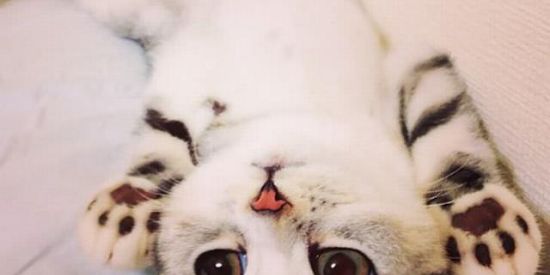 Imagem do grupo de WhatsApp Amizade