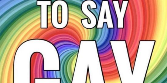 Imagem do grupo de WhatsApp Comunidade LGBT🏳‍🌈