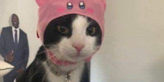 Imagem do grupo de WhatsApp 𝐀𝐦𝐢𝐳𝐚𝐝𝐞𝐬 𝐞 𝐳𝐮𝐞𝐫𝐚𝐬 🜚