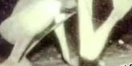 Imagem do grupo de WhatsApp Hospício😰😍🥵😭