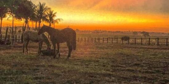 Imagem do grupo de WhatsApp OS COUNTRY DO BRASIL 🪶🌪️