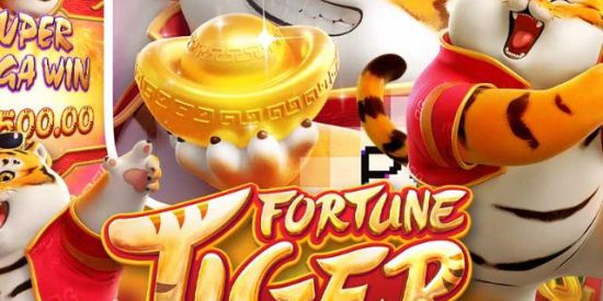 Imagem do grupo de WhatsApp PLATAFORMAS NOVAS 🎰🔥💸