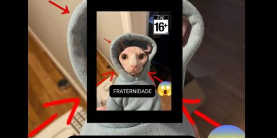 Imagem do grupo de WhatsApp Fraternidade +16