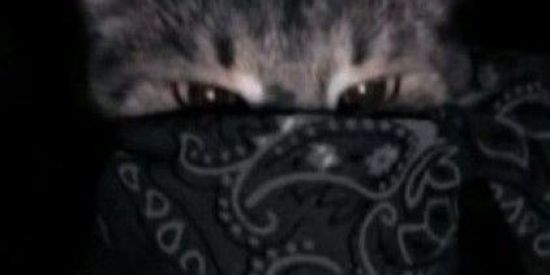 Imagem do grupo de WhatsApp 𝑵𝒂𝒎𝒐𝒓𝒐 𝒐𝒖 𝒂𝒎𝒊𝒛𝒂𝒅𝒆