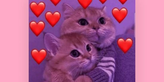 Imagem do grupo de WhatsApp Novas amizades ❤️☺️