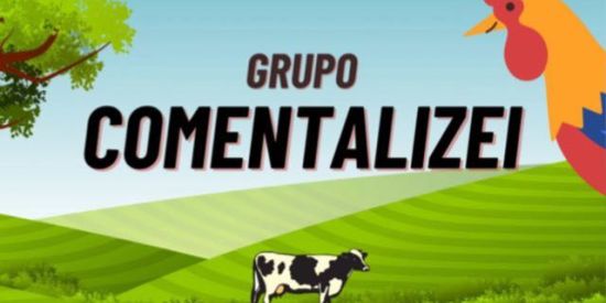 Imagem do grupo de WhatsApp 𝘊𝘖𝘔𝘌𝘕𝘛𝘈𝘓𝘐𝘡𝘌𝘐 🐓