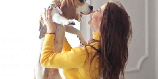 Imagem do grupo de WhatsApp Amantes de pet