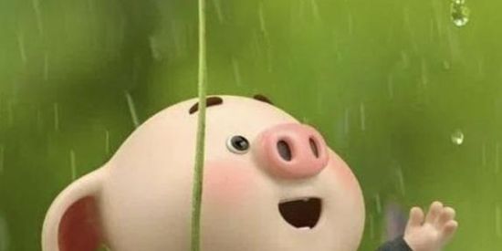 Imagem do grupo de WhatsApp Pcx࿐