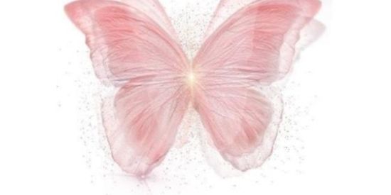 Imagem do grupo de WhatsApp 𝑶𝒏𝒍𝒚 𝑮𝒊𝒓𝒍𝒔 🦋