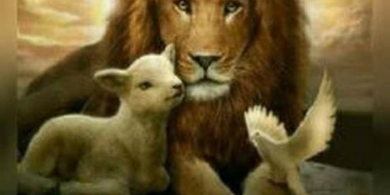 Imagem do grupo de WhatsApp Amigos de Yeshua