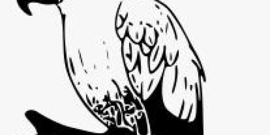 Imagem do grupo de WhatsApp " Scanbus - BR "