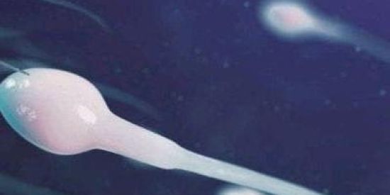 Imagem do grupo de WhatsApp Grupo de resenha