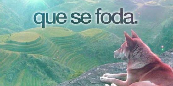 Imagem do grupo de WhatsApp Amizades