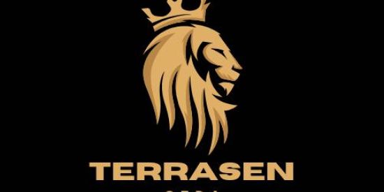 Imagem do grupo de WhatsApp TERRASEN