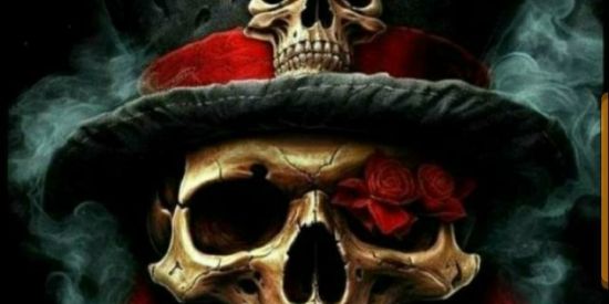 Imagem do grupo de WhatsApp ༒вσи∂є ԃσʂ ɳσιαʂ༒