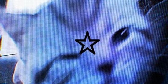 Imagem do grupo de WhatsApp ☆𝐬𝐭𝐚𝐫☆
