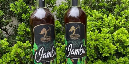 Imagem do grupo de WhatsApp Cachaça de jambú