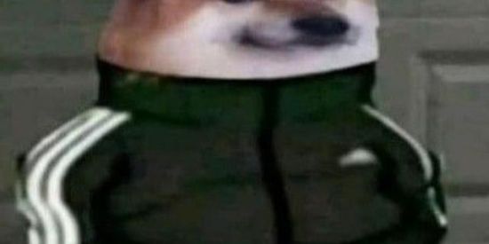 Imagem do grupo de WhatsApp 🖤𝘈𝘮𝘪𝘻𝘢𝘥𝘦🖤𝘢🖤𝘥𝘪𝘴𝘵𝘢𝘯𝘤𝘪𝘢🖤🖤