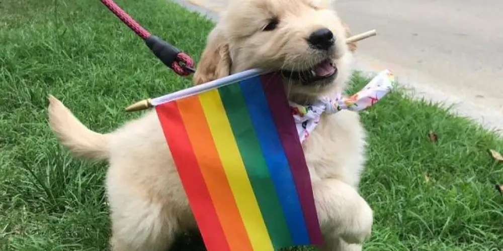 Imagem do grupo de WhatsApp 𝐒𝐚𝐭𝐚𝐧 𝐥𝐨𝐯𝐞𝐬 𝐆𝐚𝐲 ⋆.˚✮ (𝐯𝐫. 𝟐) ⭐˚.⋆