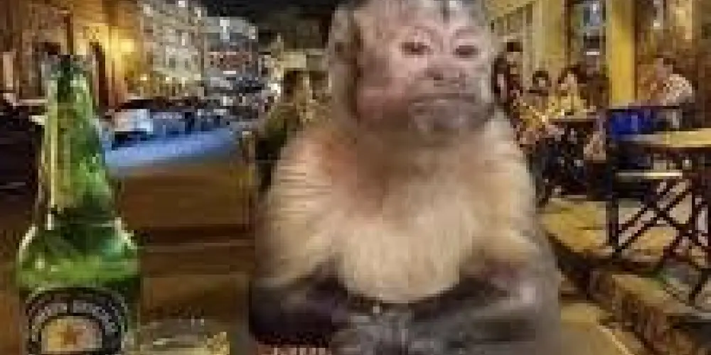 Imagem do grupo de WhatsApp ꧁‧₊˚♪ 🍻𝕭𝖆𝖗𝖟𝖎𝖓 𝖉𝖔𝖘 𝖈𝖗𝖎𝖆𝖘‧🍻₊˚♪ ꧂