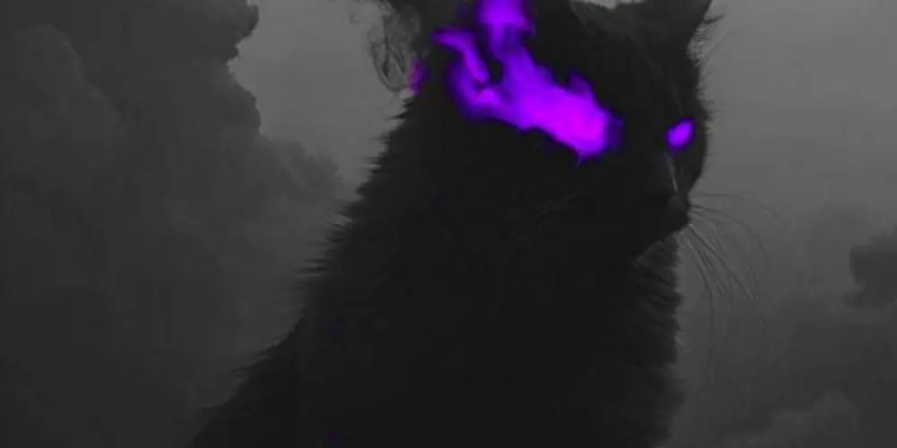 Imagem do grupo de WhatsApp ˚*•̩̩͙(我爪)⃟༅ᥬ𝐿𝑼𝛮★𝛵𝛪𝑪​᭄⃟⏤͟͟͞͞𓂀ʰᵒˢᵖ•̩̩͙*˚