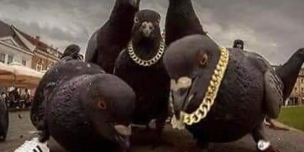 Imagem do grupo de WhatsApp ⋆. 𐙚˚࿔ 𝕭𝖊𝖘𝖙𝖘 𝕰𝖝𝖙𝖗𝖊𝖒𝖊𝖘 𝜗𝜚˚⋆