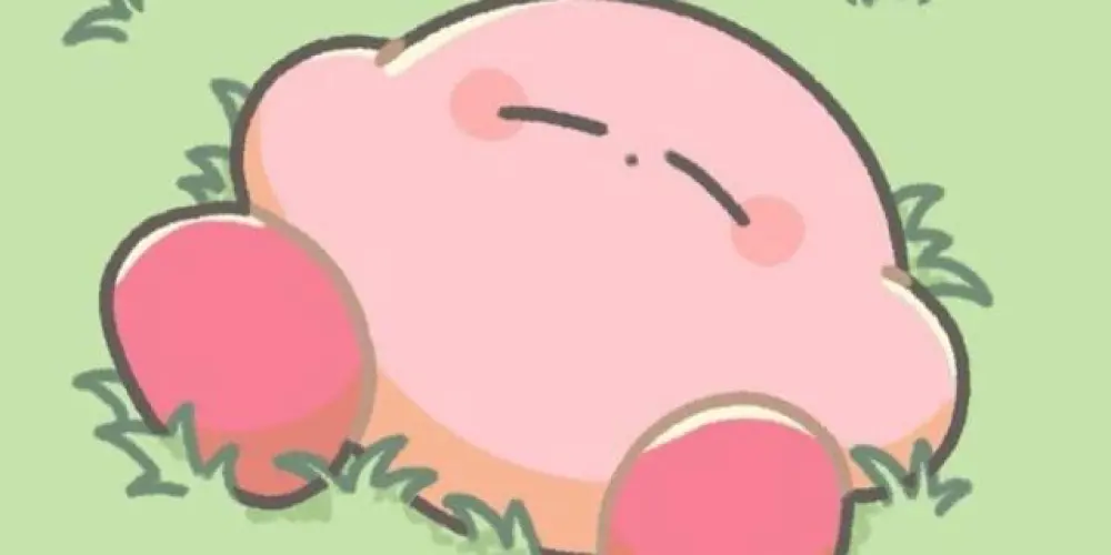 Imagem do grupo de WhatsApp ⁺🍒˚༓☾𝗔𝗻𝗶𝗺𝗲𝘀 𝗪𝗼𝗿𝗹𝗱☽༓˚🍥⁺