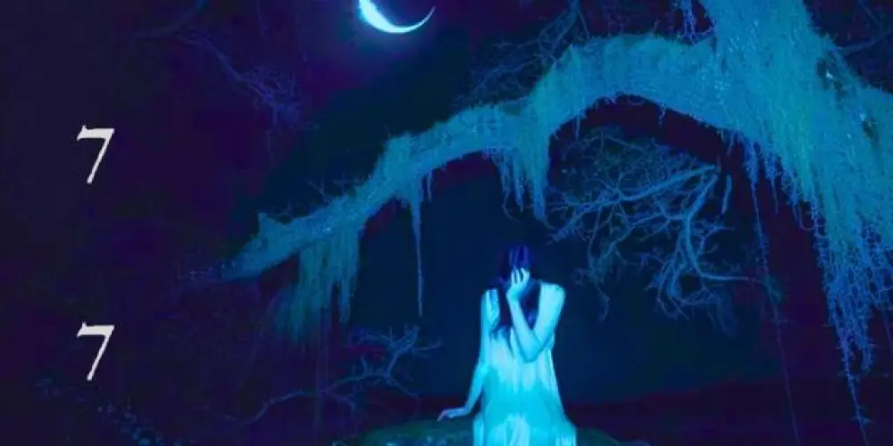 Imagem do grupo de WhatsApp ∘˚⏤͟͟͞͞𝑩𝑳𝑨𝑪𝑲 𝑴𝑶𝑶𝑵 ˖⋆☪︎