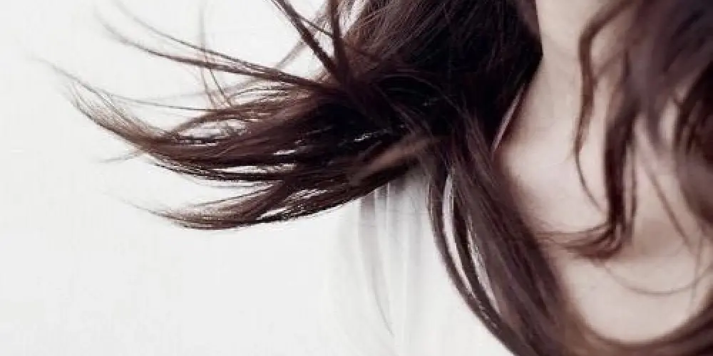 Imagem do grupo de WhatsApp ୧ ‧₊˚ 🦢 ⋅