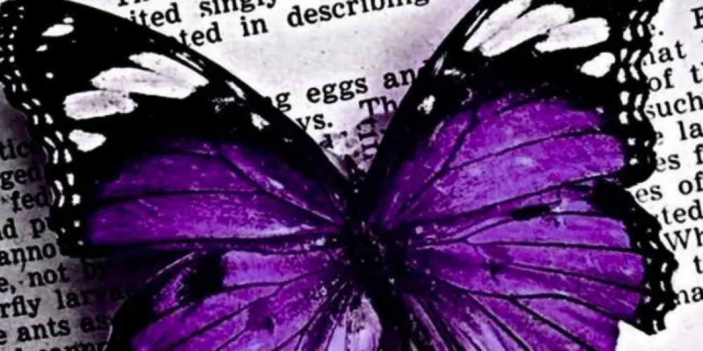 Imagem do grupo de WhatsApp 𝐋𝐮𝐥𝐮'𝐒 𝐛𝐮𝐥𝐥𝐞𝐫𝐟𝐥𝐢𝐞𝐬 ⋆.˚🦋༘