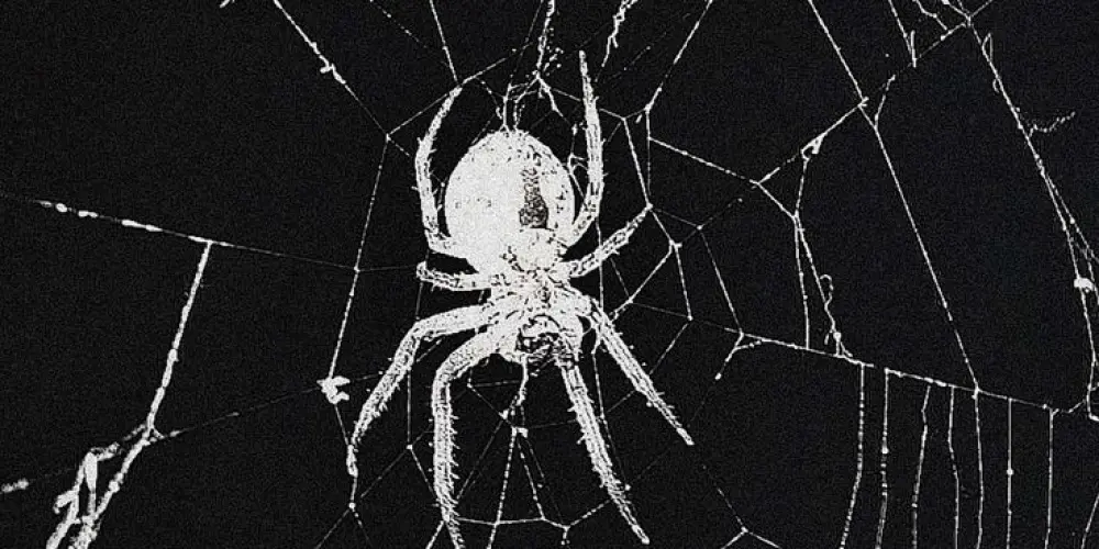 Imagem do grupo de WhatsApp ✩₊˚.⋆🕸️𝘙𝘦𝘱𝘰𝘶𝘴𝘰 𝘓𝘶𝘯𝘢𝘳⋆⁺₊✧