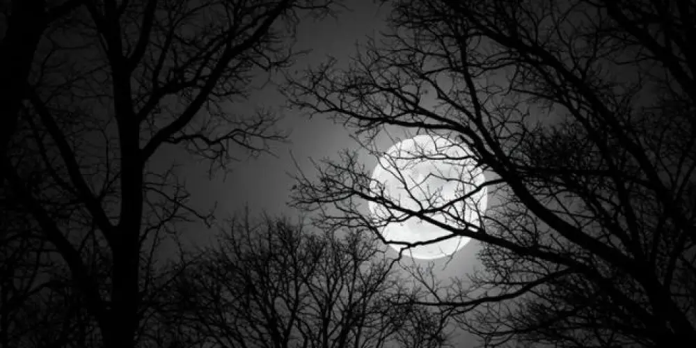 Imagem do grupo de WhatsApp ⋆.˚  𓆉 |   ᚾᚺ€ ᚱOWᚢ£ᚱ ᥆f აᥣ᥆ꭐᧉԁ⃟⃢ ☄️ us -{╼ࣶׅ፝֟⊹╾⃝ᩘ</>}->