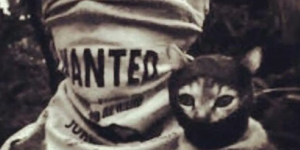 Imagem do grupo de WhatsApp ##0110